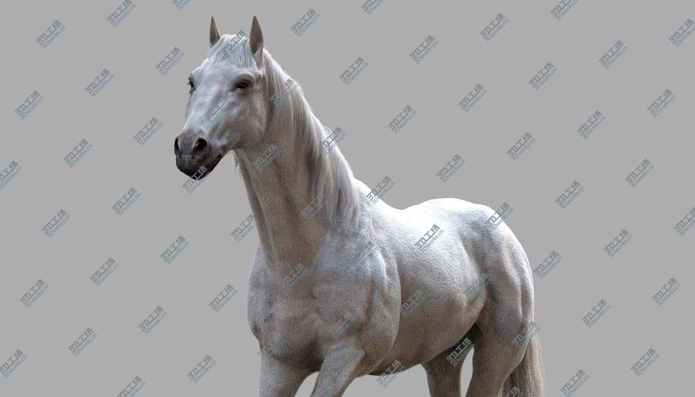 images/goods_img/202104094/Horse Collection (Rigged) 3D model/5.jpg